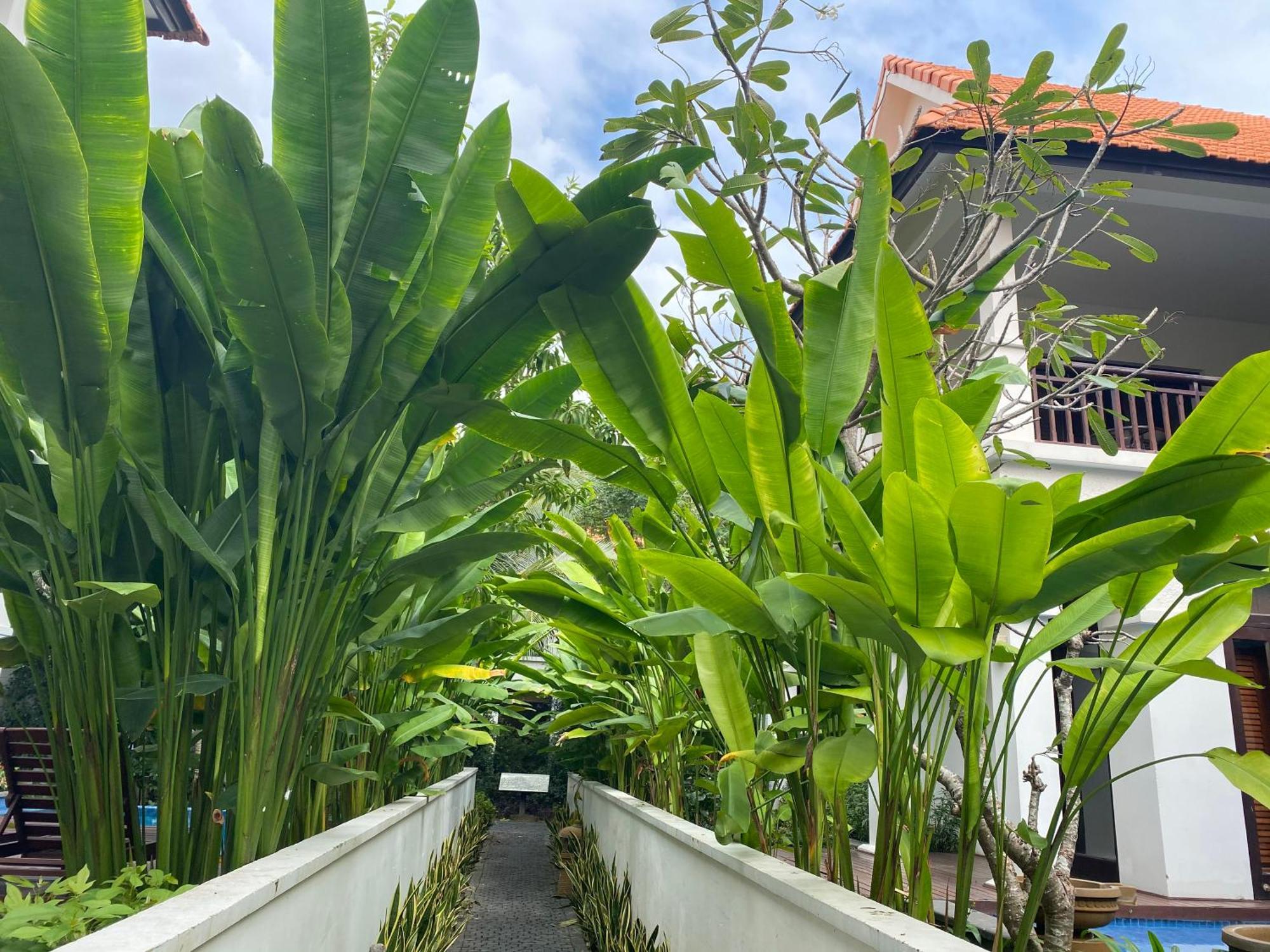 Tropical Pool Villas Da Nang Eksteriør billede